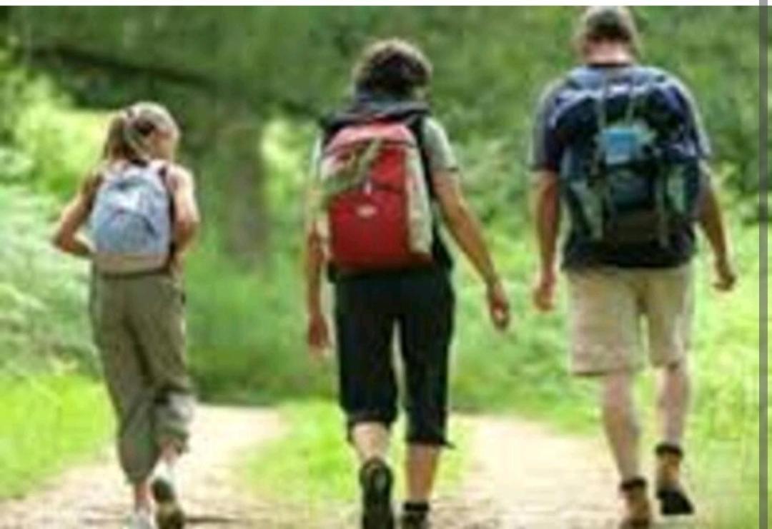 Les Chambres Touristique Julea Dienville 외부 사진